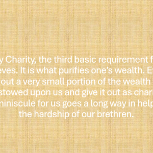 Men's Brown Half Sleeve T-Shirt Charity